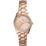 Buy Fossil Women's Watch Scarlette Mini ES4318 Quartz