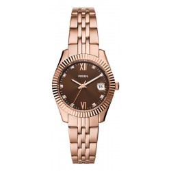 Imagen del Fossil Scarlette Mini - Reloj Mujer Acero - ES5324