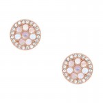 Acheter Boucles d'Oreilles Fossil Femme Vintage Glitz JF02906791