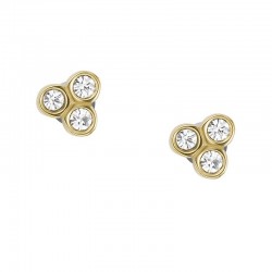 Imagen de Fossil Pendientes Mujer Sadie JF04110710