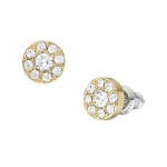 Image de Boucles dOreilles Fossil Jewelry pour femme JF04375710