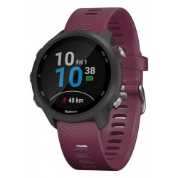 Montre Garmin Unisex Forerunner 245 010-02120-11