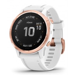 Acheter Montre Garmin Unisex Fēnix 6S Pro 010-02159-11
