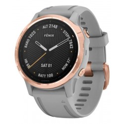 Acheter Montre Garmin Unisex Fēnix 6S Sapphire 010-02159-21
