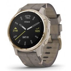 Acheter Montre Garmin Unisex Fēnix 6S Sapphire 010-02159-40