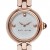 Montre Femme Marc Jacobs Courtney MJ3458