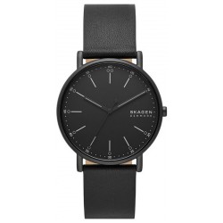 Image de la Montre Homme Skagen Signatur SKW6902